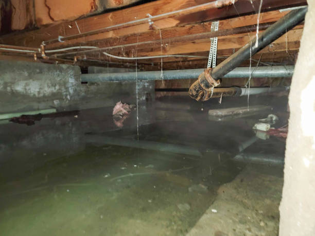 Best 24-hour water damage restoration  in Chesterbrook, PA