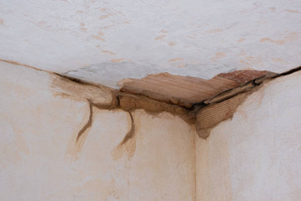Best Mold removal after water damage  in Chesterbrook, PA