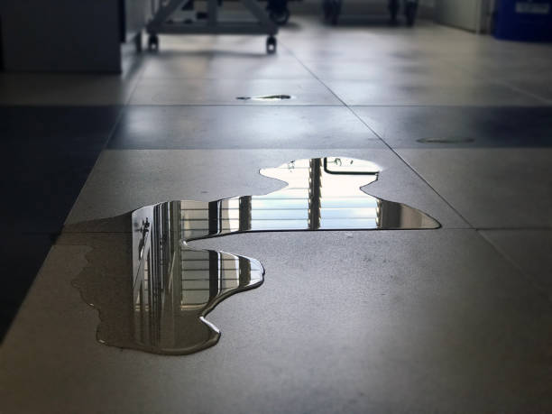 Best Water damage restoration company  in Chesterbrook, PA