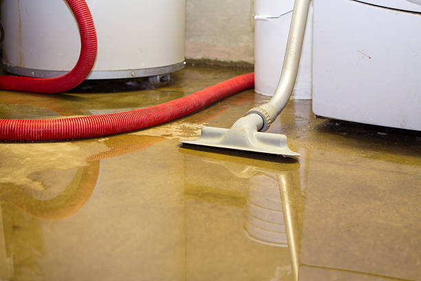 Best Water damage contractors near me  in Chesterbrook, PA
