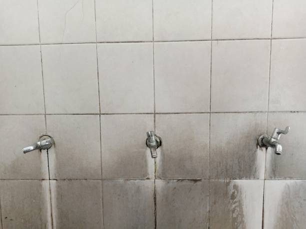 Trusted Chesterbrook, PA Water damage restoration Experts