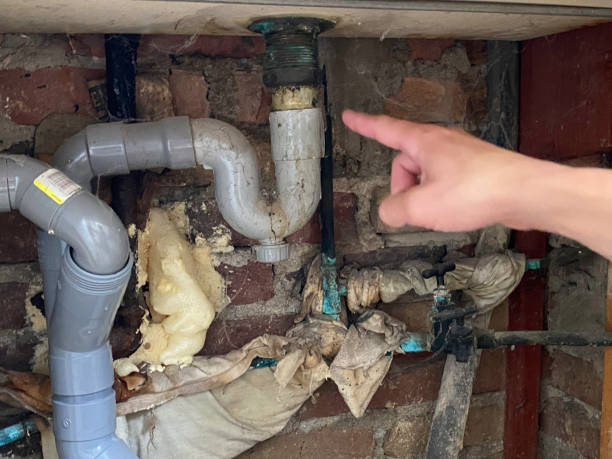 Best Local water damage restoration  in Chesterbrook, PA